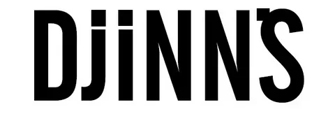 DJINNS